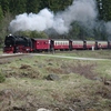 T02748 997234 Drei Annen Hohne - 20110416 Harz