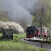 T02761 997232 Wernigerode - 20110417 Harz