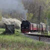 T02762 997232 Wernigerode - 20110417 Harz