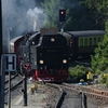 T02783 997232 Schierke - 20110419 Harz