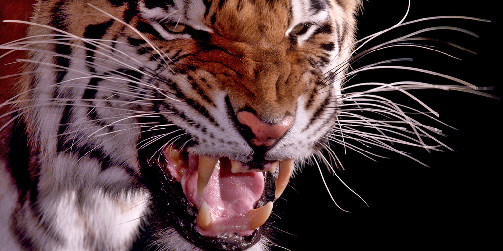 A004 C012 0101JB.0000000 (EZ edit resize) - 