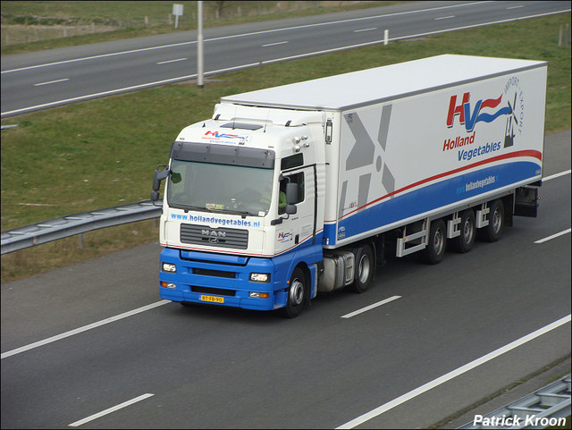 Holland vegetables (2) Truckfoto's