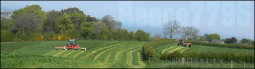 reece Picture Box