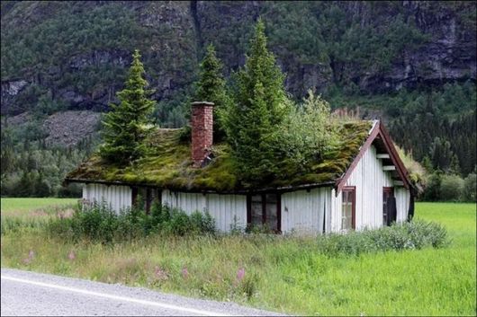 glass roofs norway 01 - 