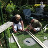 Tuin - Reigerhekken maken 0... - In de tuin 2011