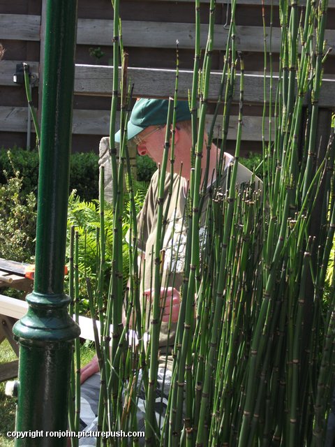 Tuin - Reigerhekken maken 07-05-11 (05) In de tuin 2011