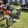 IMG 0175 - mot 2011