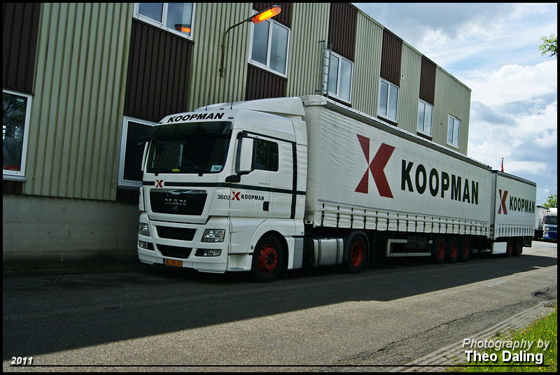 Koopman - Noordhorn   BX-ZH-37 - [opsporing] LZV