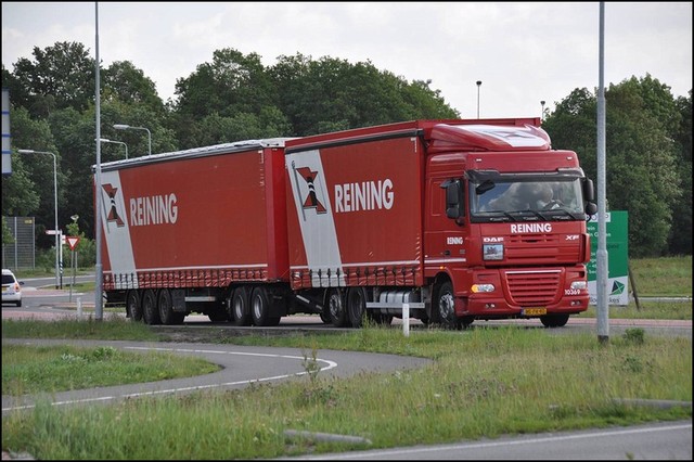 reining 10369-border Wim