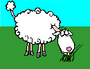 moutons-27 - 