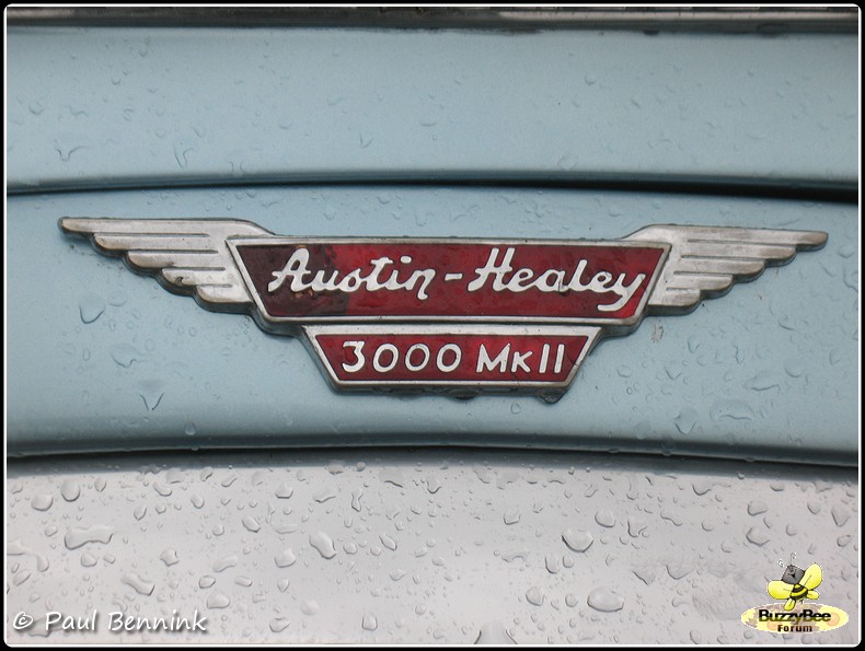 Austin Healey 3000 Mk II (4)-BorderMaker - 