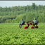 Boeren op het land - Allerlei 