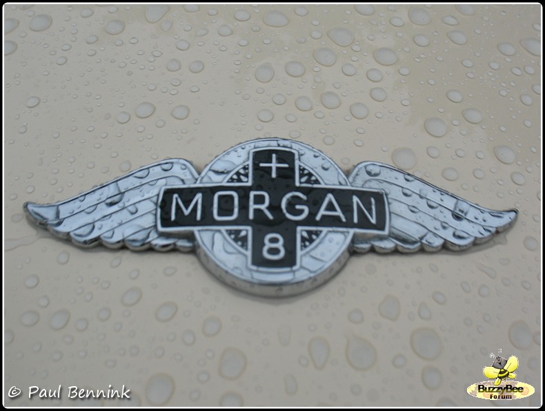 Morgan Plus 8-BorderMaker - 