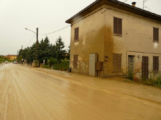 1307294226207 malt1 - 