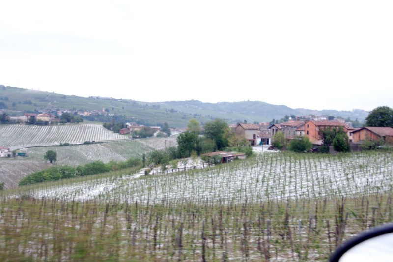 243081 176648145725199 100001400443582 472505 7350 - 