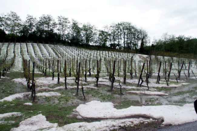 257359 176648519058495 100001400443582 472509 7089 - 