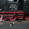 T02794 997235 Wernigerode - 20110421 Harz