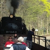 T02827 997245 Eisfelder Tal... - 20110422 Harz