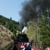 T02832 997245 Tiefenbachmuhle - 20110422 Harz