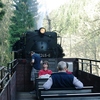 T02834 997245 Tiefenbachmuhle - 20110422 Harz