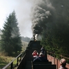 T02835 997245 Sophienhof - 20110422 Harz