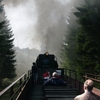 T02837 997245 Sophienhof - 20110422 Harz