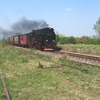 T02873 997232 Bad Suderode - 20110424 Harz