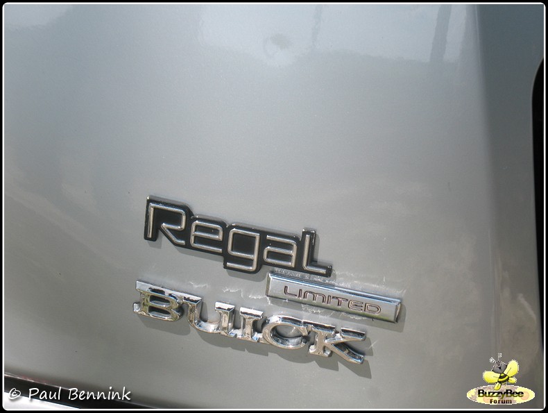 Buick Regal Limited (2)-BorderMaker - 