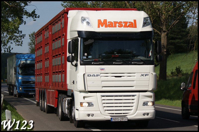 Marszal - 