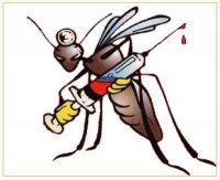 IO ODIO LE ZANZARE - 