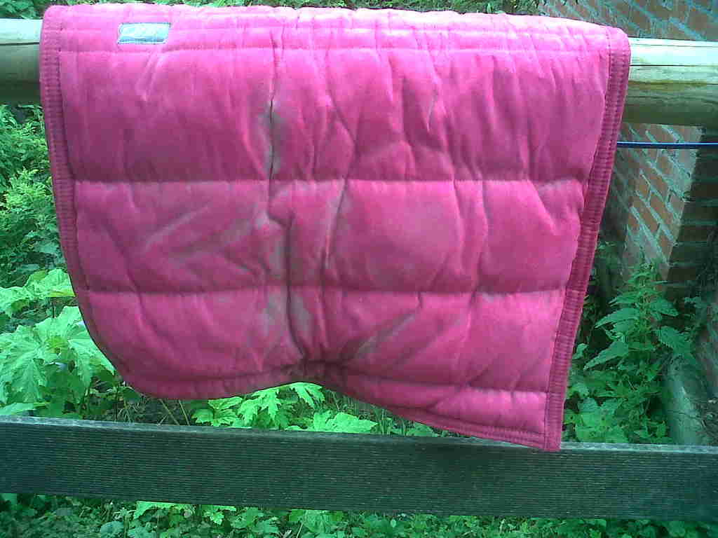 IMG00330-20110624-1522 - 