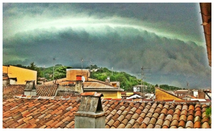 259146 2223672314545 1329843868 32659337 6338037 o - 