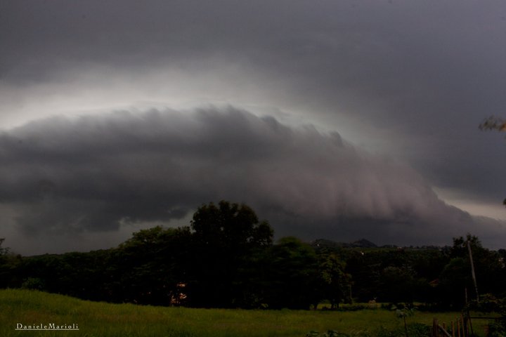 264626 183660921690588 100001400443582 512196 6412 - 