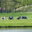 P1060090 - Vondelpark