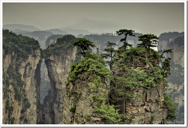 Zhangjiajie-National-Park Sandra-Herd thumb - 