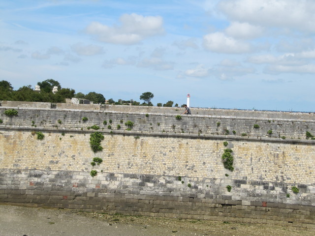 158 vakantie ile de rÃ©