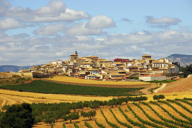 IMGP2182r Camino de Santiago