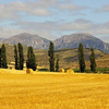 IMGP2283r - Camino de Santiago