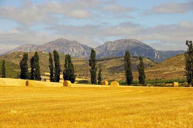 IMGP2283r Camino de Santiago