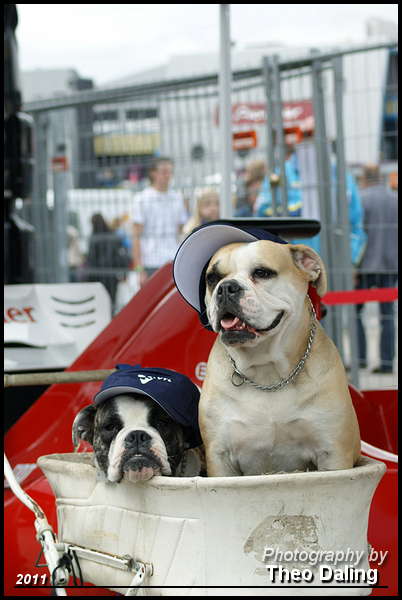 27 Zondag 31-7-2011 Truckstar