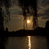 IMG 1421@1200x1800 - Sunset and Night Photograph...
