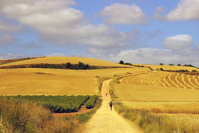 IMGP2434r Camino de Santiago