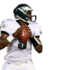 Vince-Young-Eagles - NFL Player Cuts