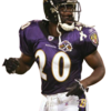 Ed-Reed-Cut - NFL Player Cuts