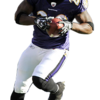 Ed-Reed-NFL - NFL Player Cuts