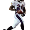 Ed-Reed-Ravens - NFL Player Cuts