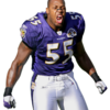 Terrell-Suggs - NFL Player Cuts