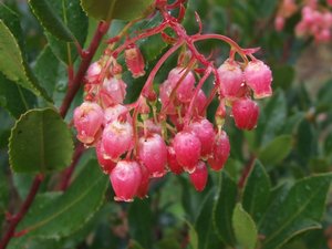 14770 20110306T181845 0 JPG 300x400 q85 - 