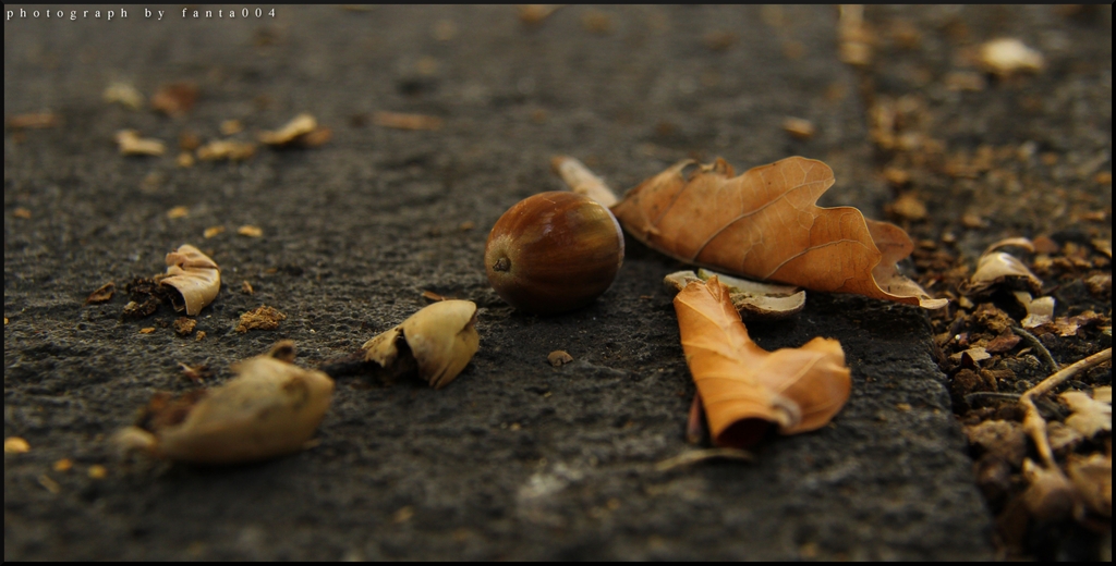 on the floor 01final - 