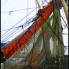 Visnet op visboot haven Oud... - Dagje Texel 21-8-2011